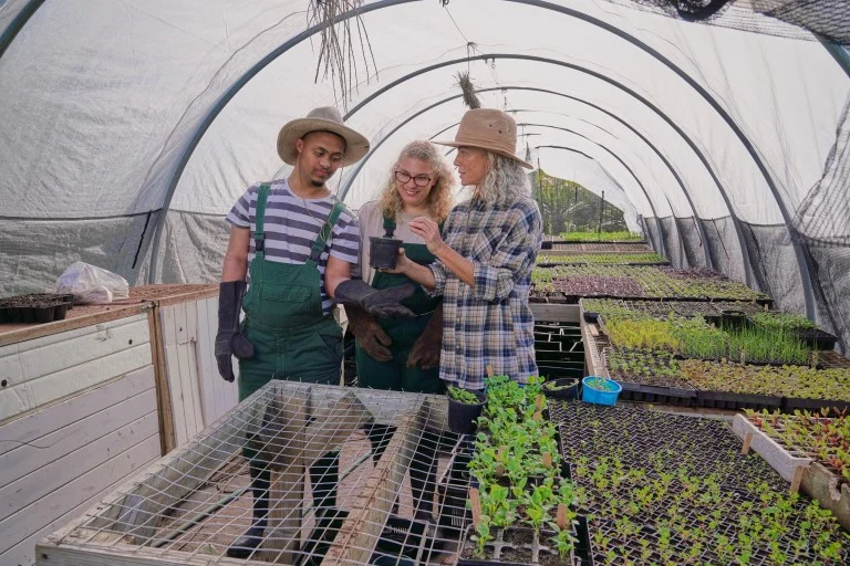 Disabled man in a greenhouse doing gardening with two support workers